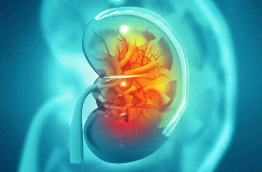 How to Check Your Kidney Treatment Works or not